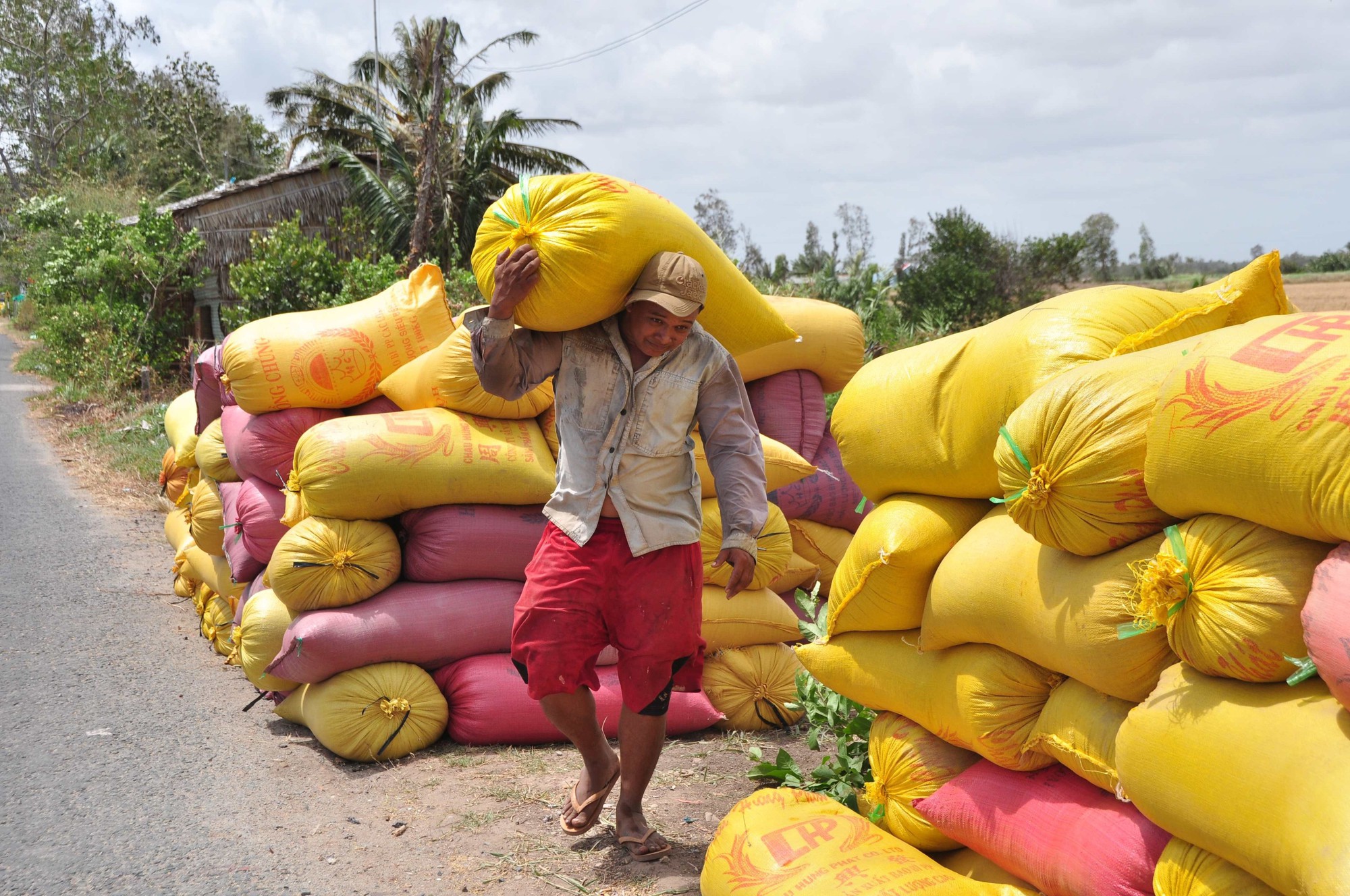Thứ trưởng Bộ NNPTNT: Xuất khẩu gạo của Việt Nam năm 2023 có thể đạt 8 triệu tấn - Ảnh 2.