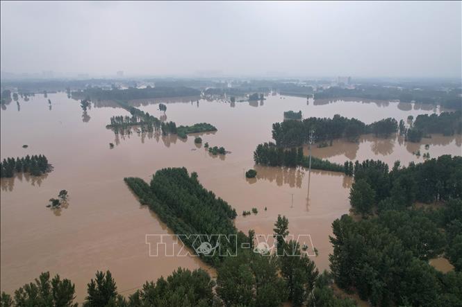 Lũ lụt ở Trung Quốc có thể gây tăng giá lương thực toàn cầu - Ảnh 1.