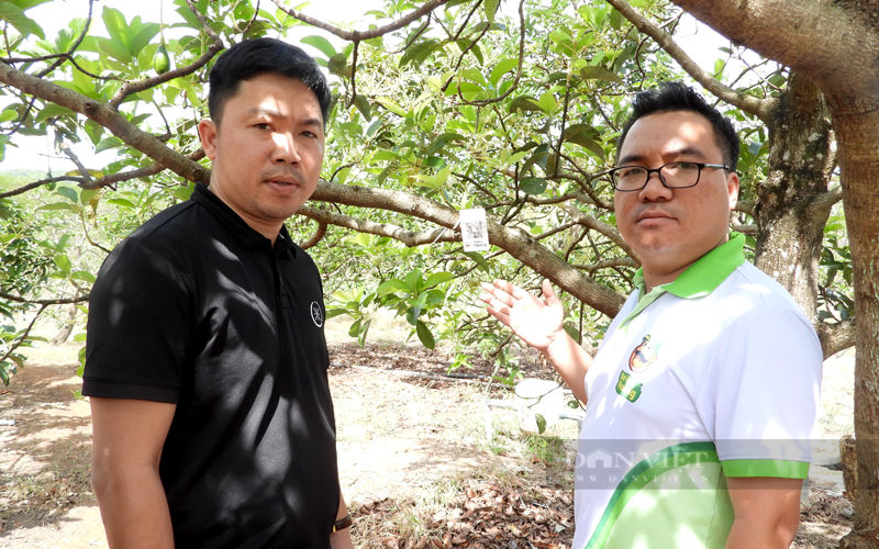 Nông dân, doanh nghiệp số hóa chuỗi cung ứng nông sản Bình Phước - Ảnh 3.