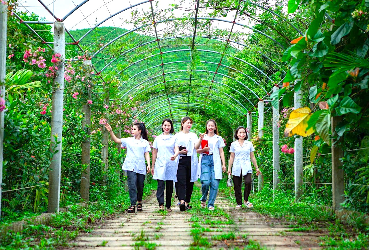 Cận cảnh khu vườn sinh thái thảo dược đẹp như tranh trên núi huyện Yên Thành - Ảnh 10.