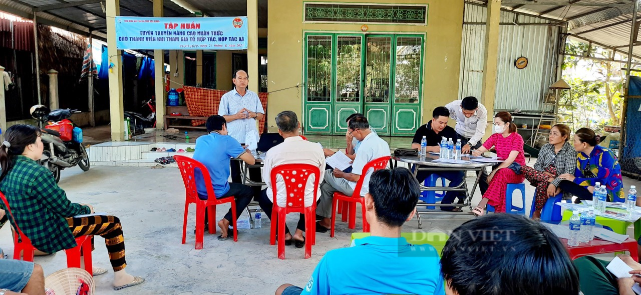 Công tác Hội và phong trào nông dân đã góp phần xây dựng quê hương Hậu Giang phát triển vượt bậc - Ảnh 5.