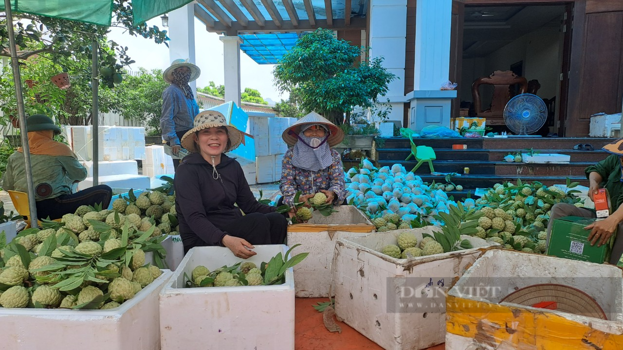 Hàng trăm tấn nông sản được tiêu thụ tại lễ hội kết nối tiêu thụ sản phẩm Na và nông sản Thái Nguyên 2023 - Ảnh 1.