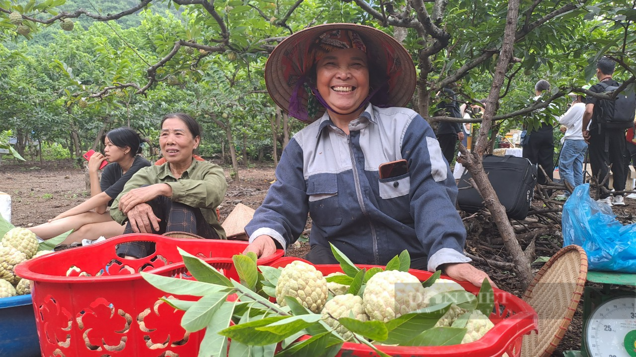 Hàng trăm tấn nông sản được tiêu thụ tại lễ hội kết nối tiêu thụ sản phẩm Na và nông sản Thái Nguyên 2023 - Ảnh 2.