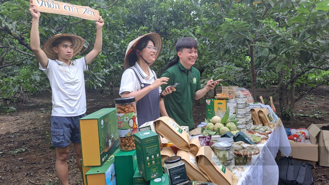 Hàng trăm tấn nông sản được tiêu thụ tại lễ hội kết nối tiêu thụ sản phẩm Na và nông sản Thái Nguyên 2023 - Ảnh 5.