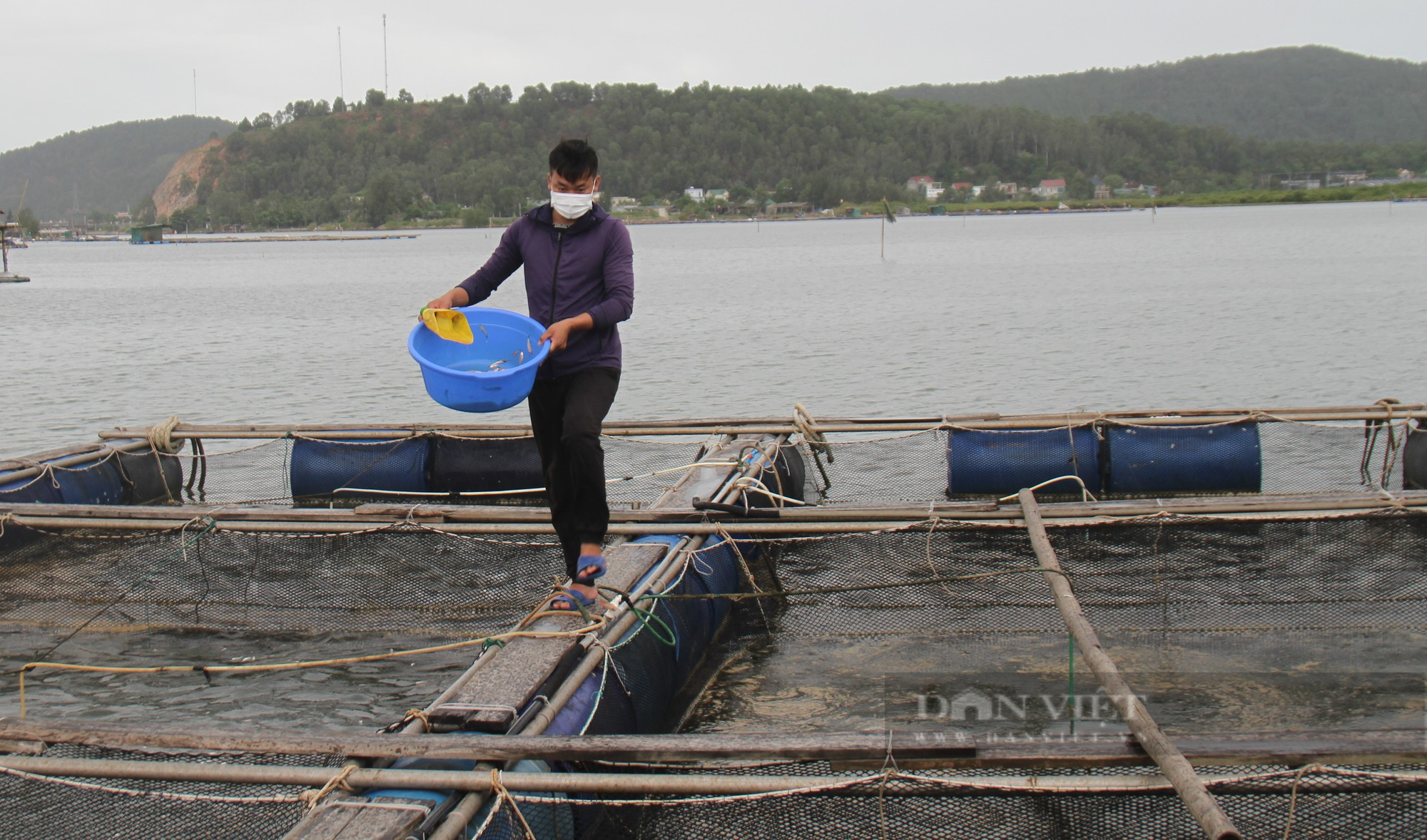 Ngư dân kể chuyện vay lãi ngân hàng, chi hàng trăm triệu mua thức ăn nuôi loài cá dữ tợn - Ảnh 2.