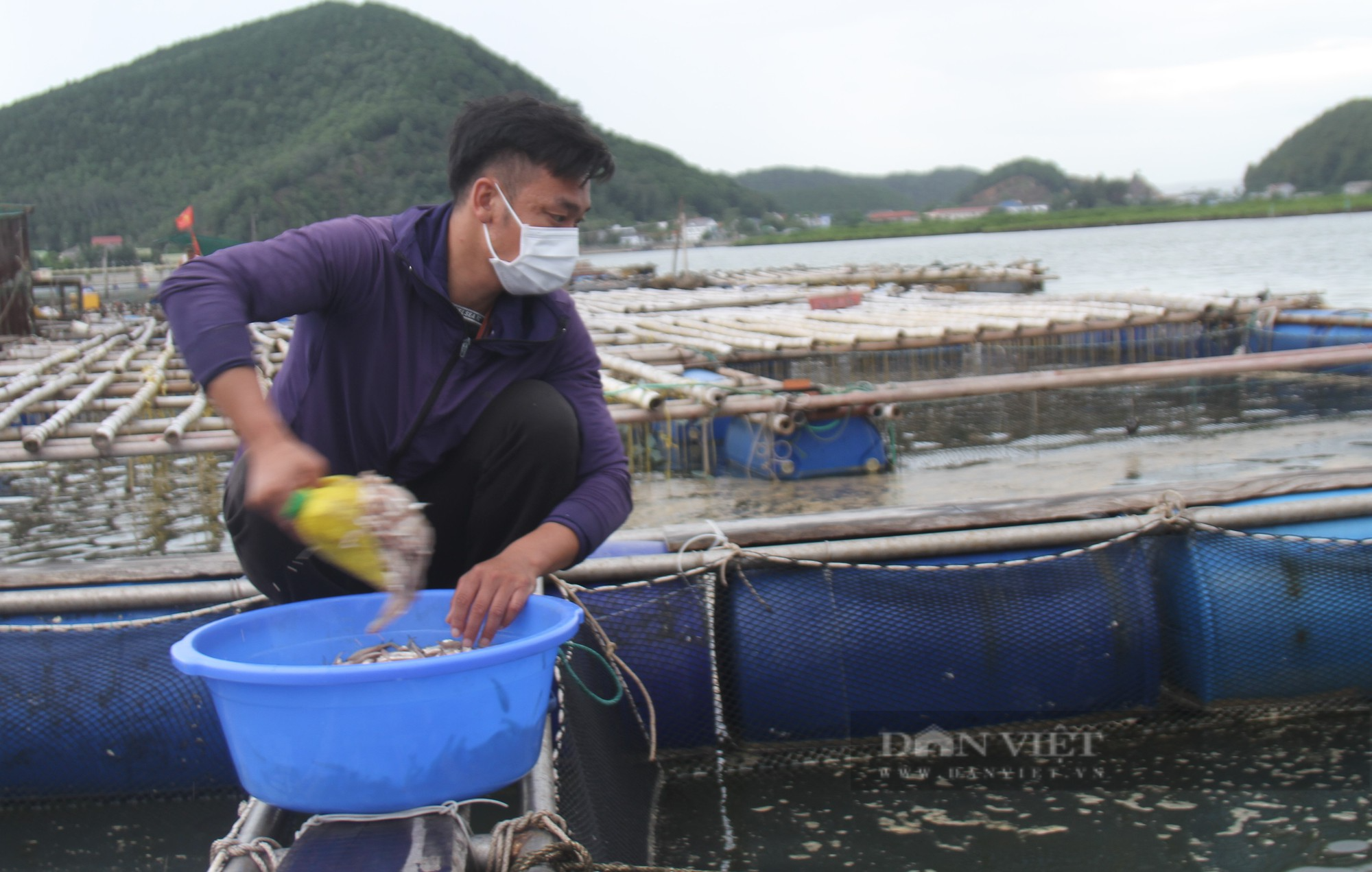 Ngư dân kể chuyện vay lãi ngân hàng, chi hàng trăm triệu mua thức ăn nuôi loài cá dữ tợn - Ảnh 8.