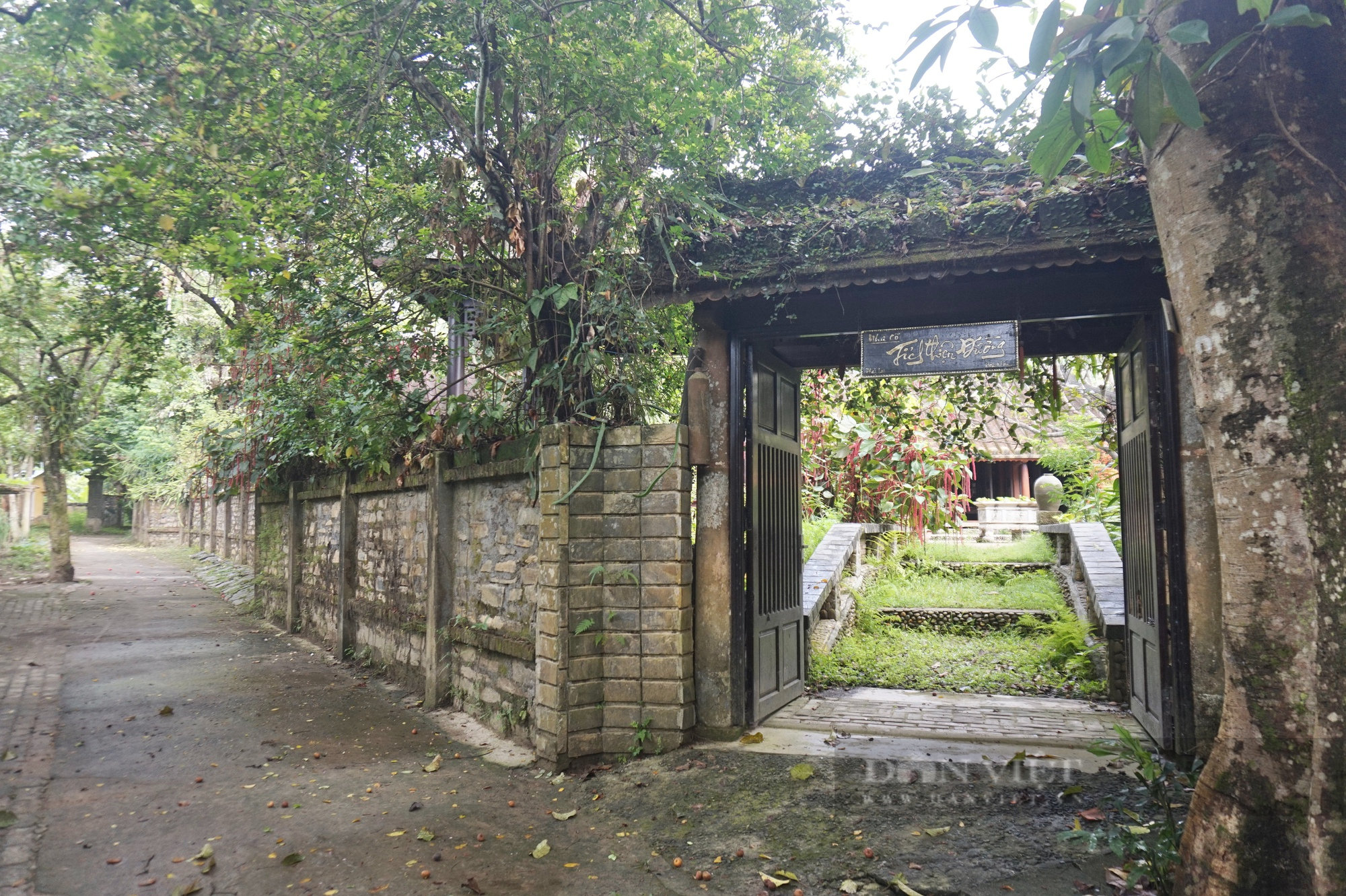 Ngôi nhà cổ hơn 200 tuổi còn nguyên vẹn độc nhất ở Đà Nẵng có gì đặc biệt? - Ảnh 1.