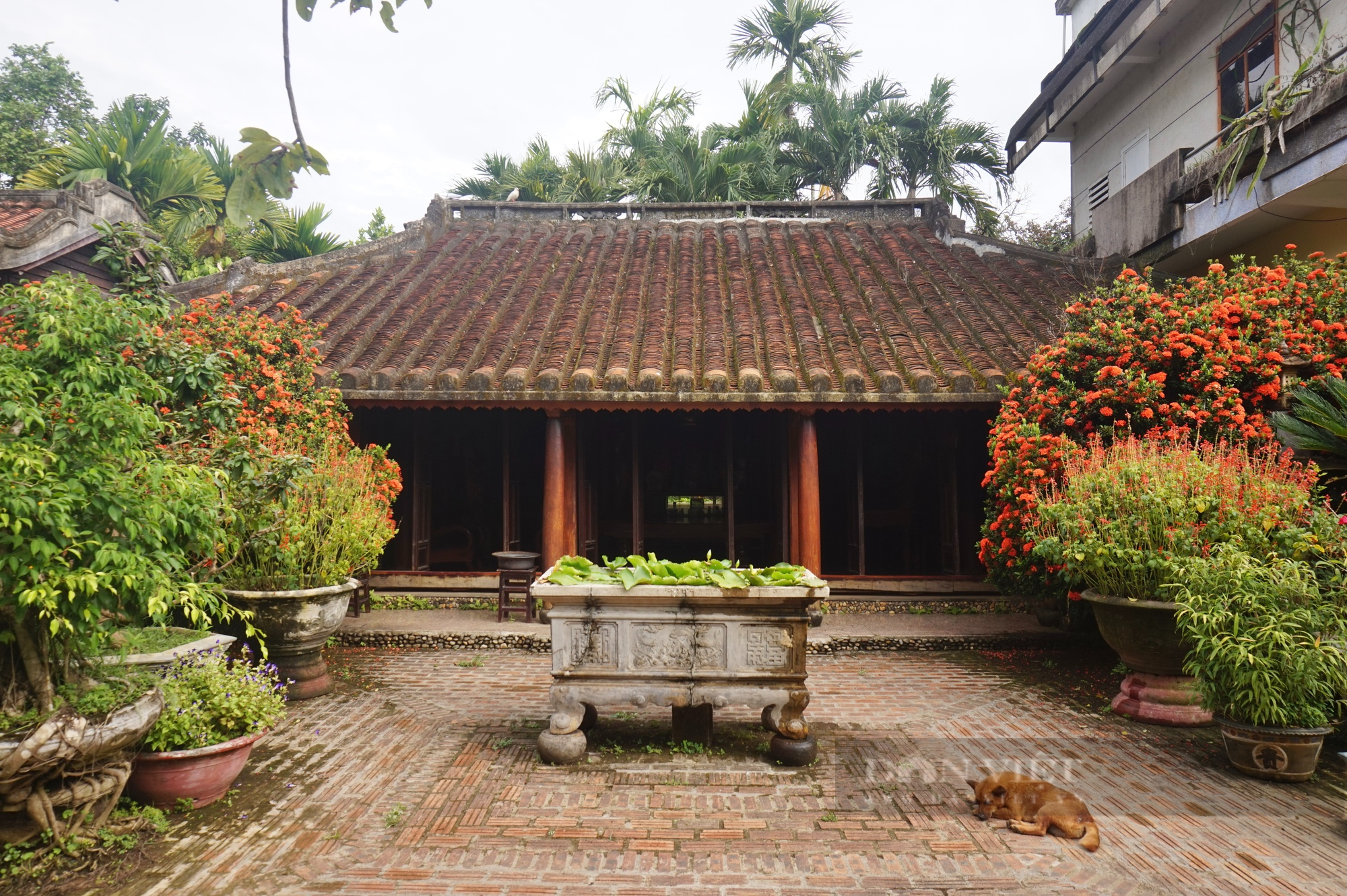 Một nhà cổ hơn 200 tuổi duy nhất còn nguyên vẹn ở Đà Nẵng