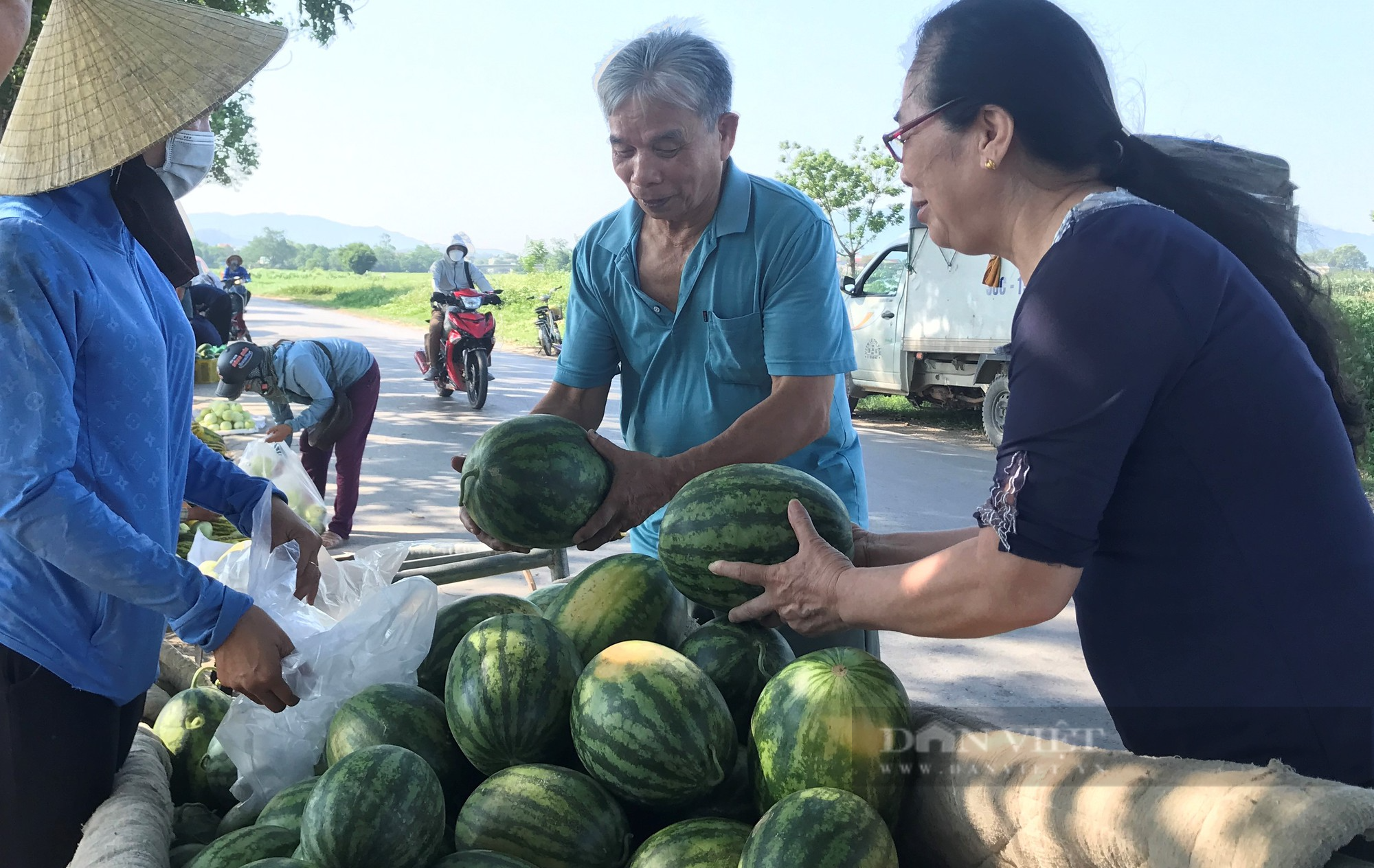 Trồng loại quả giải khát, dân xã này ở Nghệ An thu về hơn 40 tỷ đồng sau một vụ - Ảnh 2.