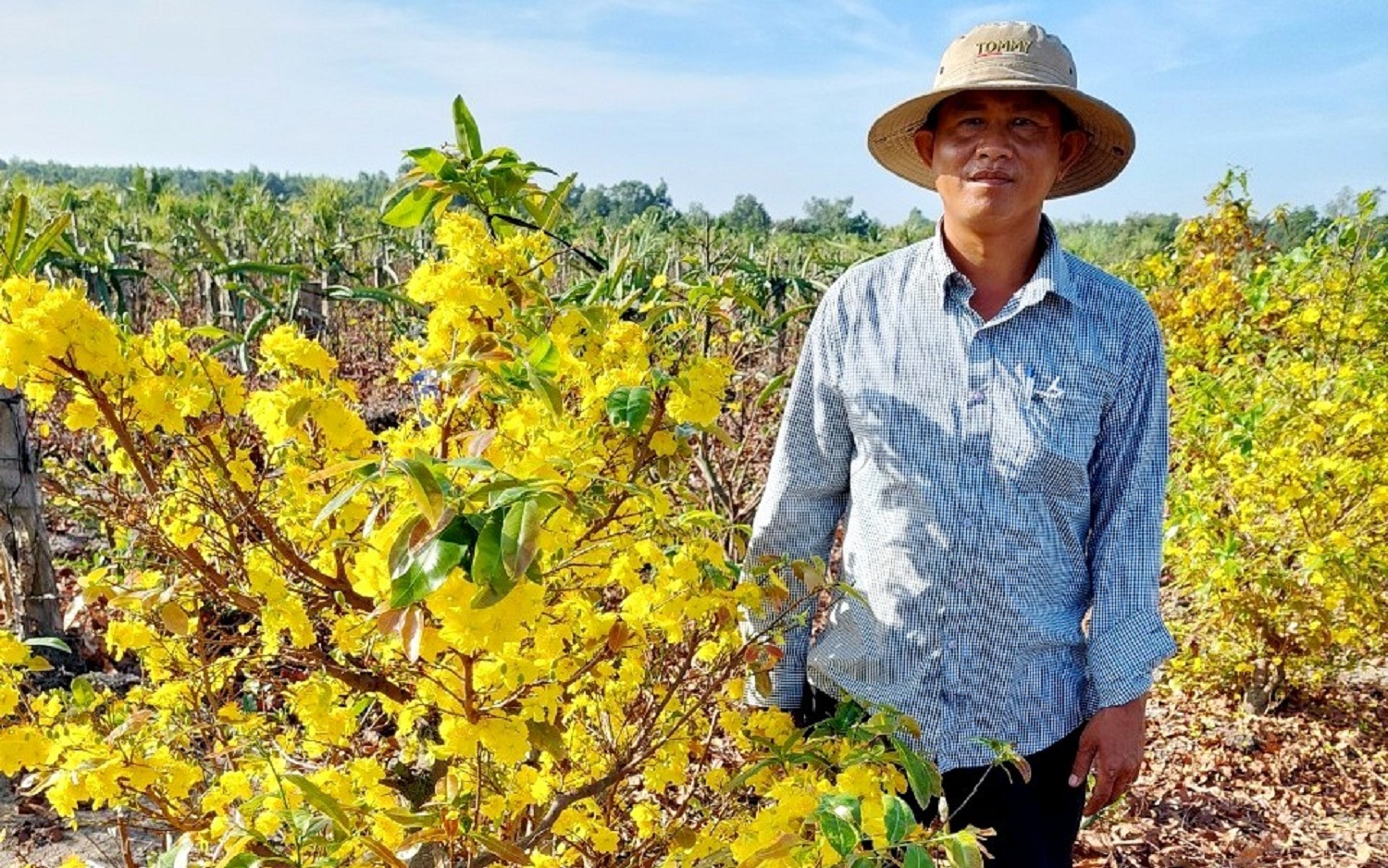 Làng nghề tiền tỷ ăn nên làm ra ở một huyện của TP HCM, có làng trồng mai vàng, nuôi cá cảnh thu trăm tỷ