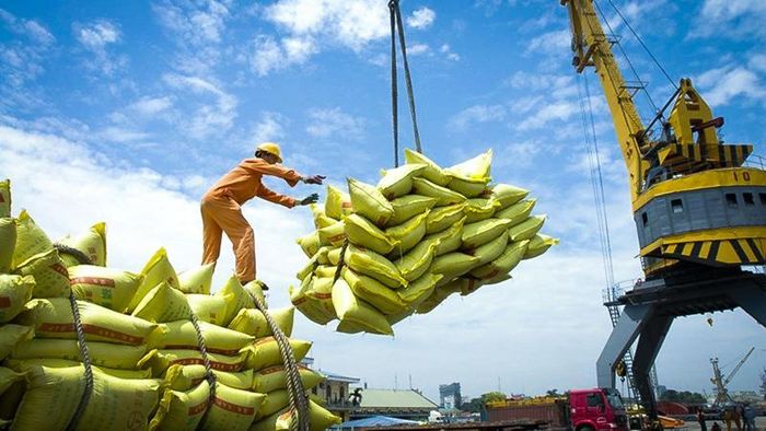 Philippines đang đàm phán với Việt Nam và Ấn Độ để nhập khẩu gạo - Ảnh 1.