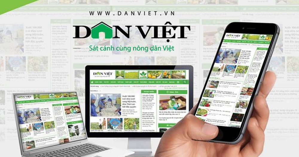 Đề nghị bổ sung chỉ tiêu 100% cán bộ Hội Nông dân và 10% hội viên cả nước đọc Báo điện tử Dân Việt - Ảnh 3.