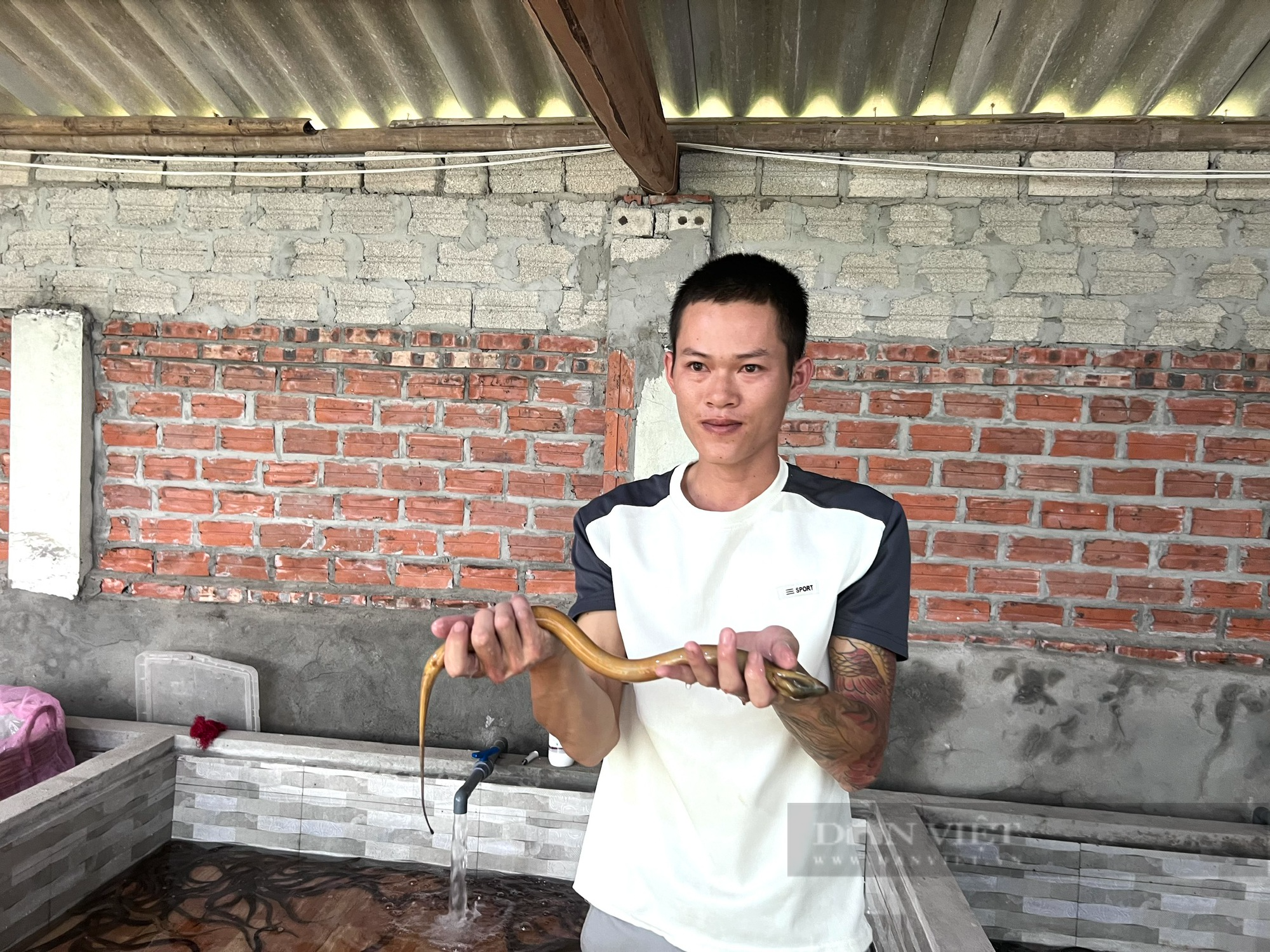 Thanh niên bỏ nghề ốp đá về quê nuôi lươn không bùn, tháng bỏ túi 15 triệu đồng - Ảnh 3.