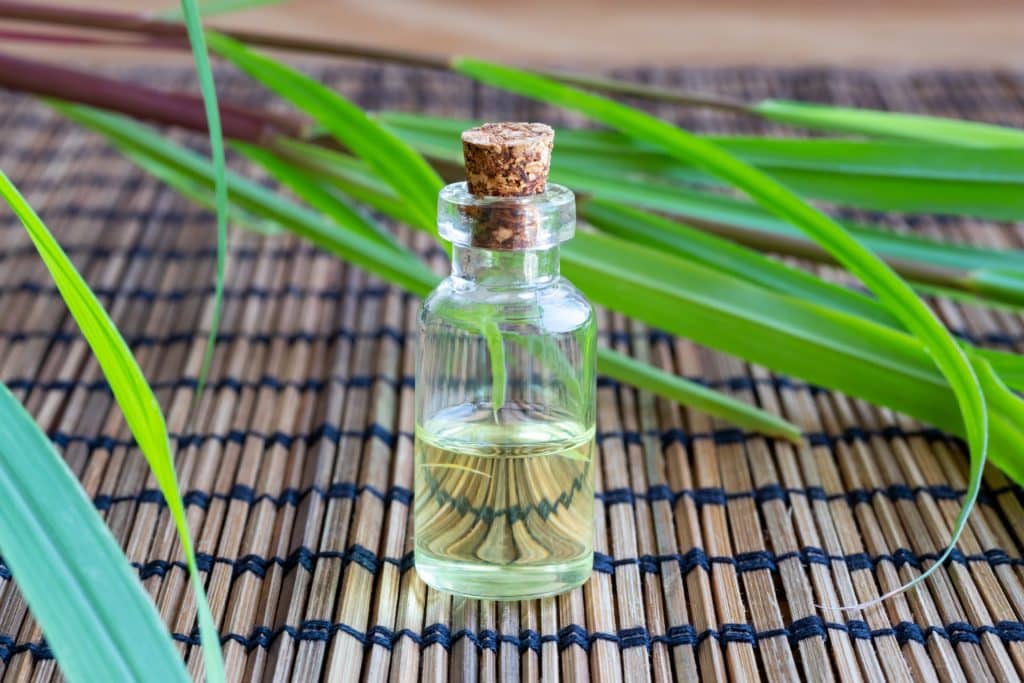 8 loại tinh dầu giúp đuổi muỗi tự nhiên  - Ảnh 6.