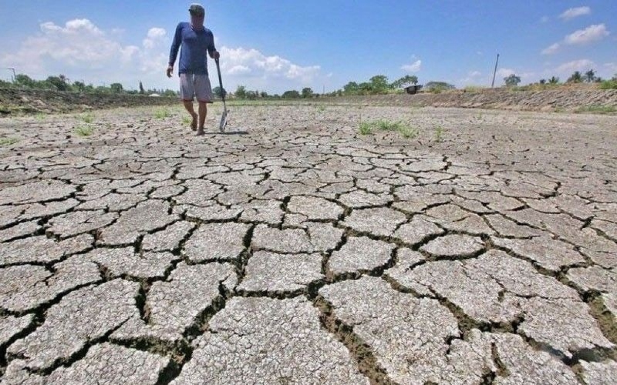 El Nino đẩy giá gạo toàn cầu lên   - Ảnh 1.