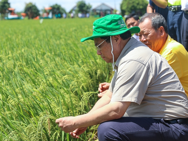 Thủ tướng Phạm Minh Chính khảo sát mô hình nông nghiệp tại Đồng Tháp - Ảnh 1.