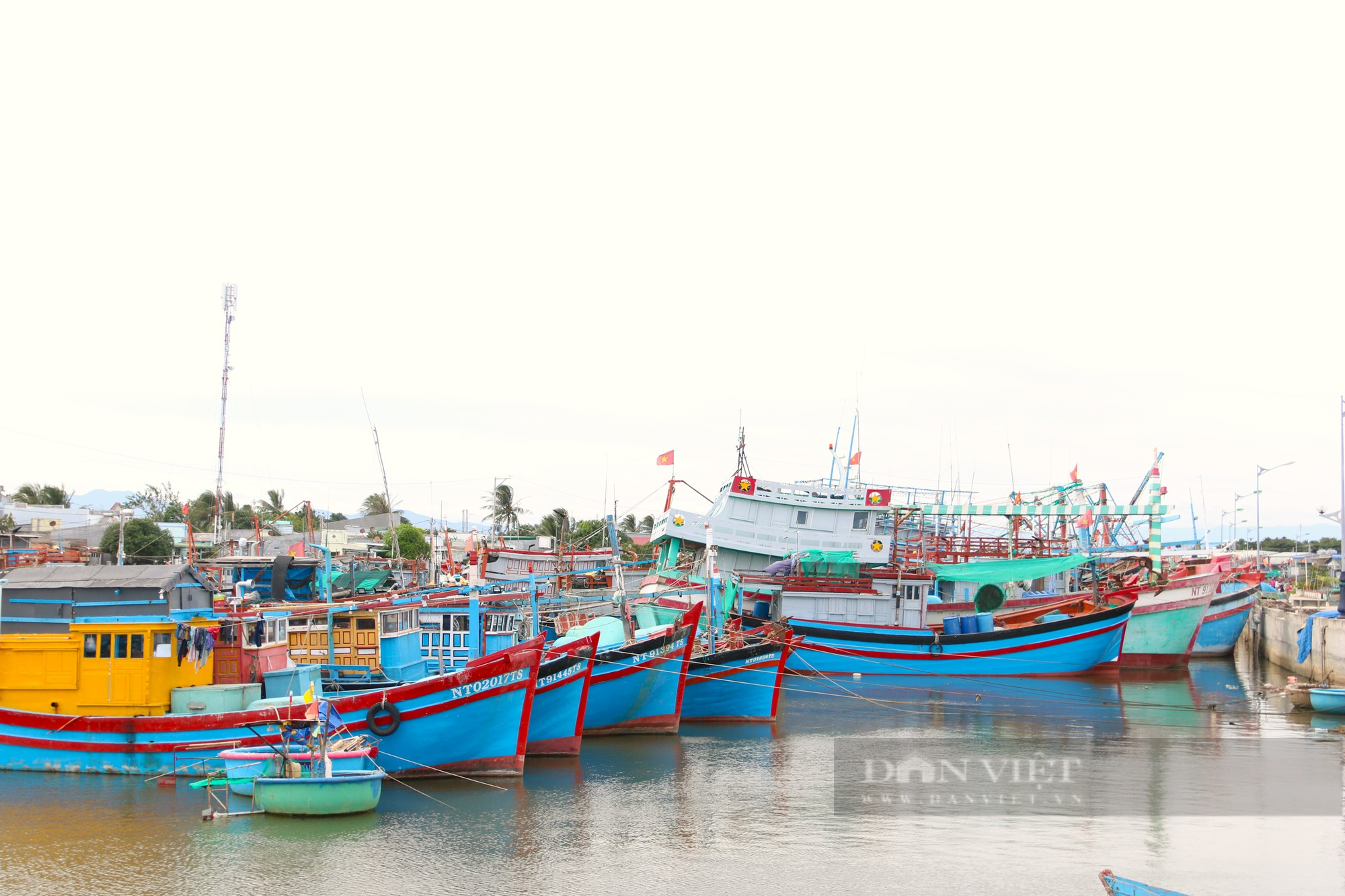 Từ lái tàu thêu thành ông chủ 5 tàu cá “khủng”, lão ngư Trần Công Thắng ở Ninh Thuận Nông dân suất sắc năm 2023 - Ảnh 3.