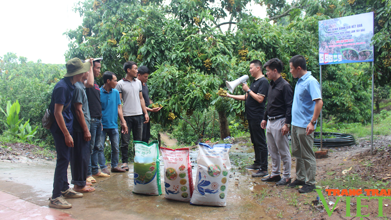 Phân bón Sông Lam Tây Bắc: Nâng cao năng xuất, chất lượng cây ăn quả - Ảnh 6.