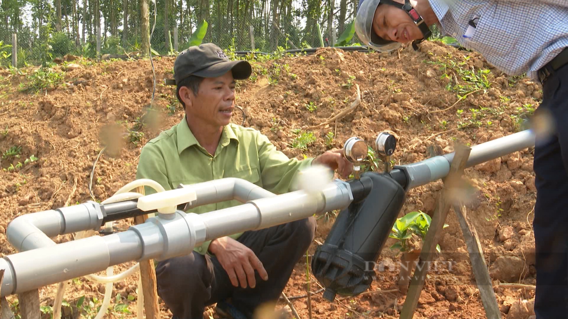 Nông dân ở Quảng Nam đưa công nghệ số vào cuộc sống - Ảnh 2.