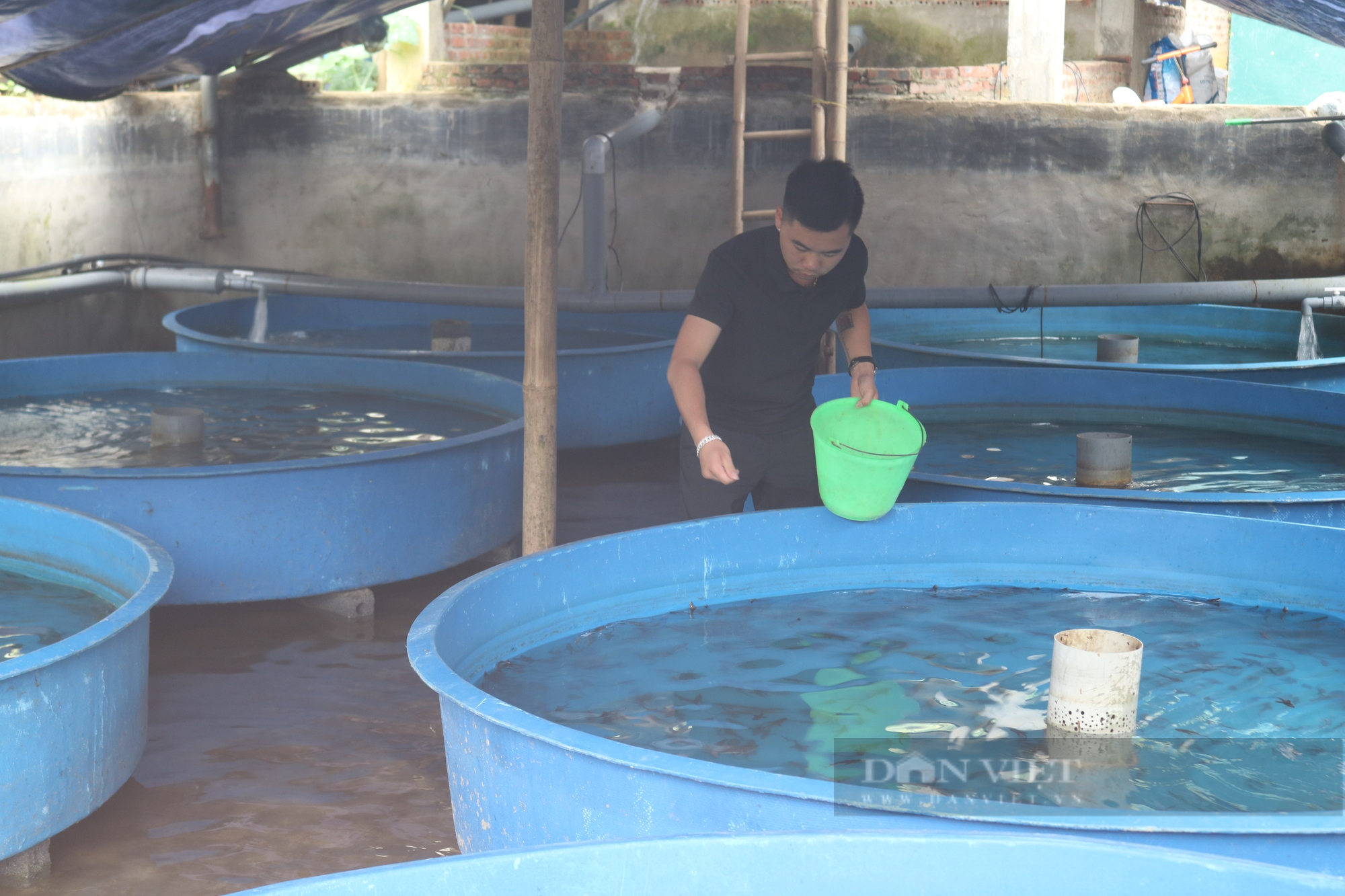 Chàng trai trẻ dân tộc Dao vùng quê nghèo Lào Cai khởi nghiệp bằng nghề nuôi cá nước lạnh - Ảnh 4.