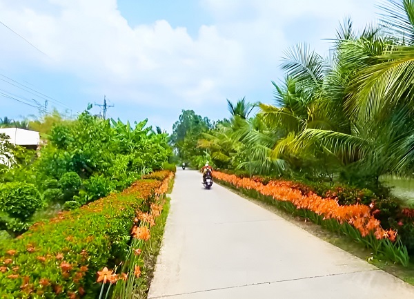 Đẹp mê tơi những tuyến đường hoa nông thôn mới ở một xã của Cà Mau, bảo sao dân ham chụp hình, quay phim  - Ảnh 2.