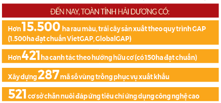 Gây dựng nền nông nghiệp xanh trên đất xứ Đông - Ảnh 4.