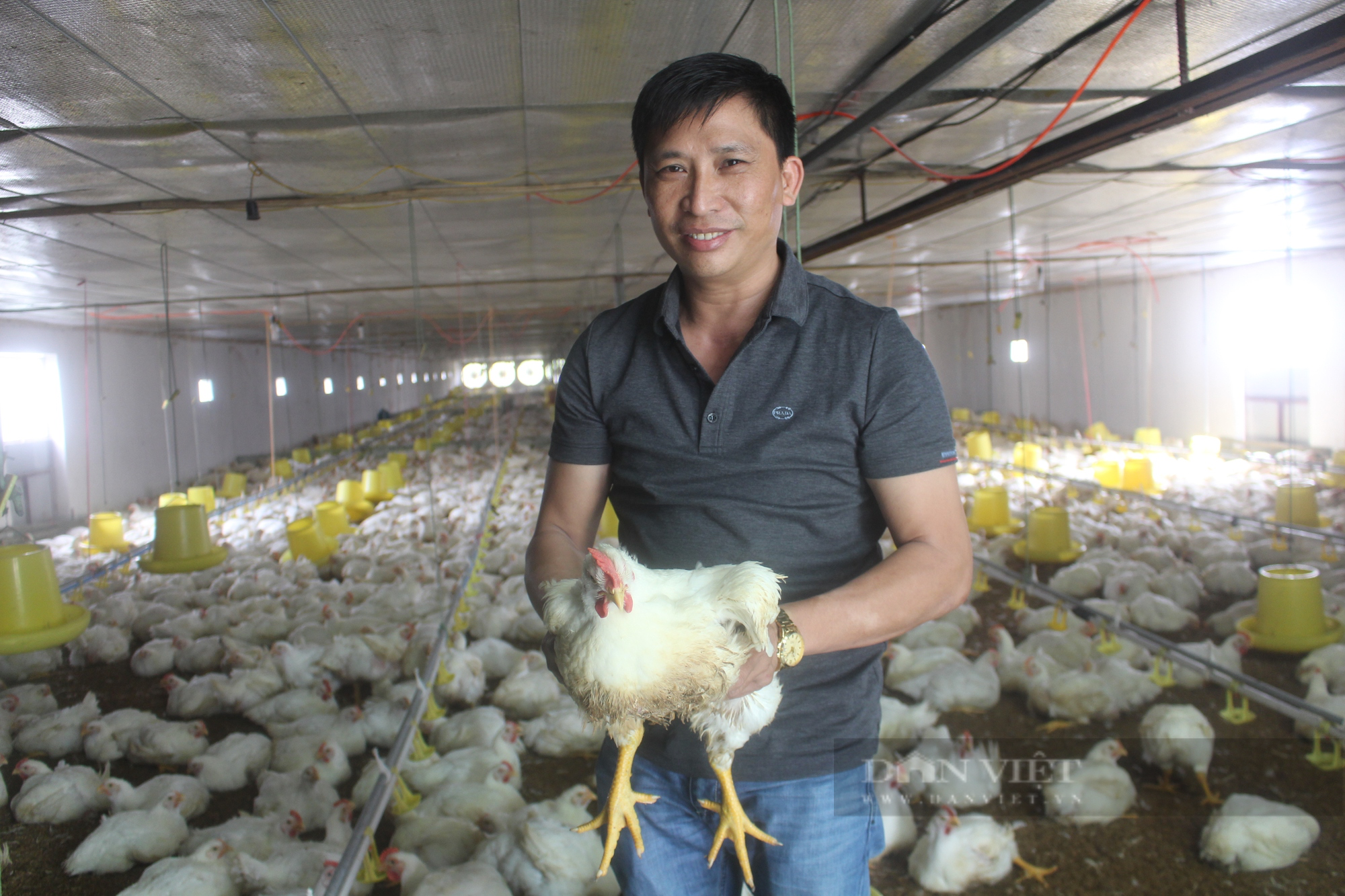 Tỷ phú nuôi gà ở Thái Bình là nông dân duy nhất được bầu tham gia Ban Chấp hành Hội Nông dân tỉnh  - Ảnh 2.