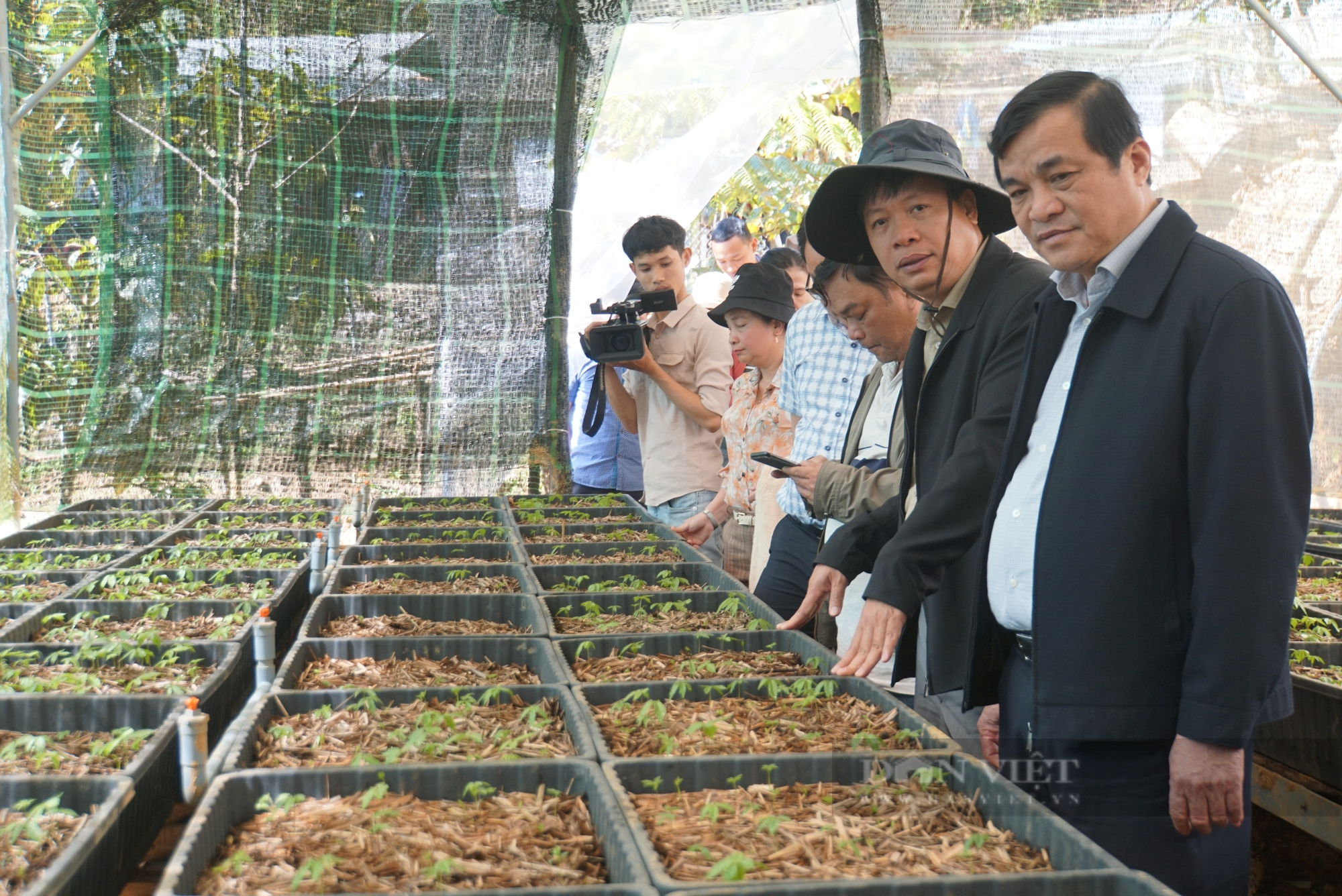 Thủ phủ sâm Ngọc Linh xây dựng nông thôn mới hướng đến chất lượng - Ảnh 5.
