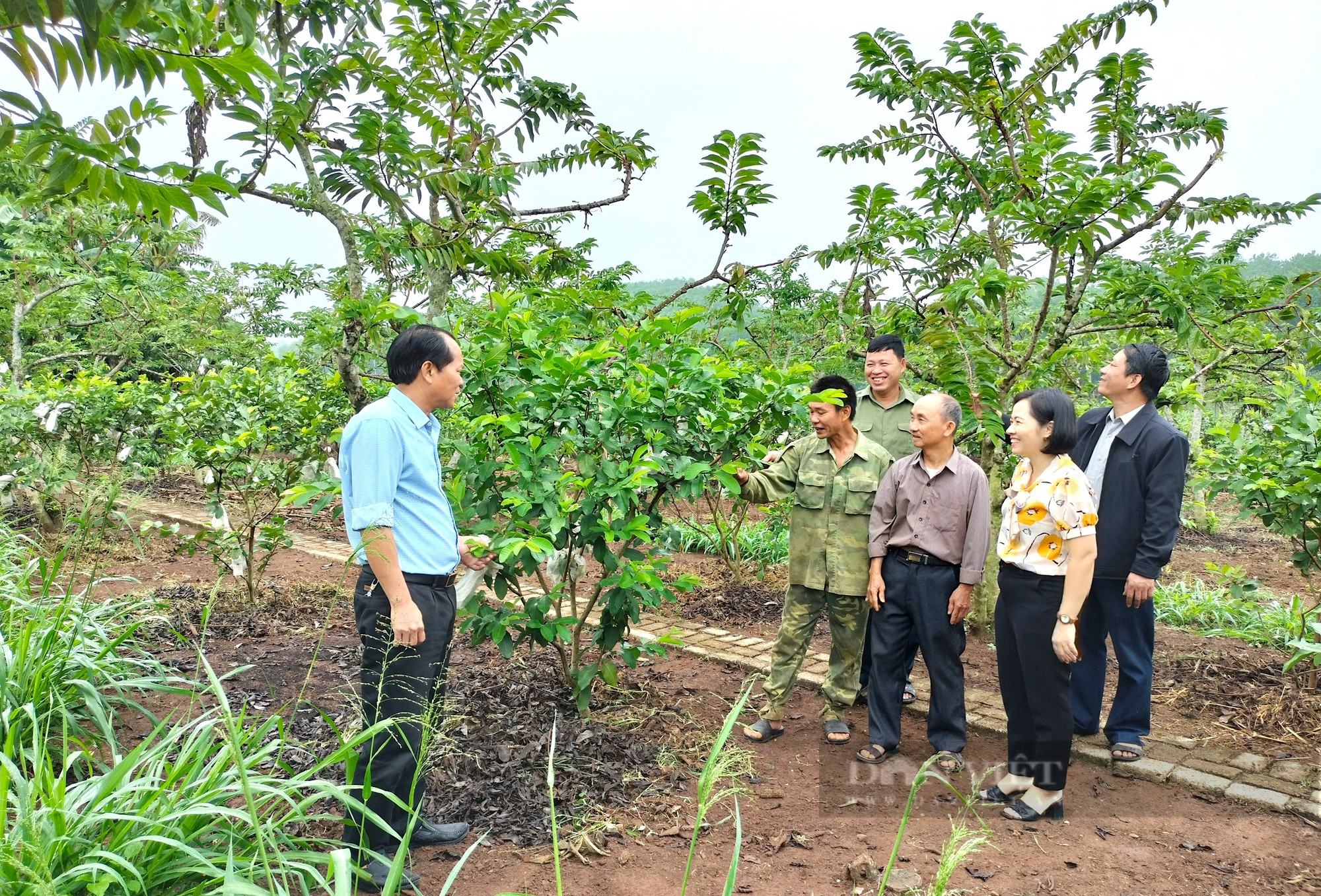 Xây dựng vườn chuẩn nông thôn mới, hiệu quả thiết thực từ phong trào “dân vận khéo” của Hội Nông dân Nghĩa Đàn - Ảnh 7.