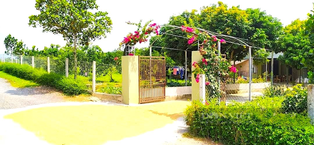 Xây dựng vườn chuẩn nông thôn mới, hiệu quả thiết thực từ phong trào “dân vận khéo” của Hội Nông dân Nghĩa Đàn - Ảnh 8.
