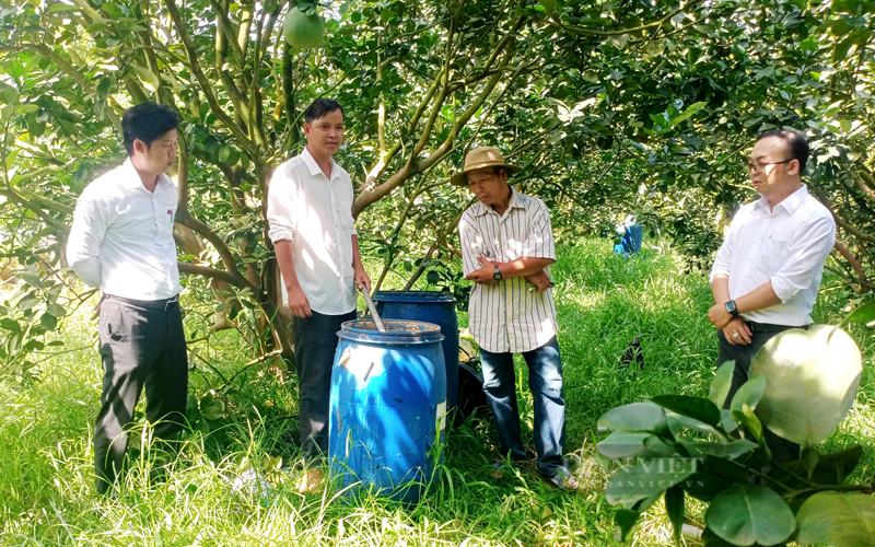 Nông dân tỉnh Đồng Nai nhân rộng các mô hình sản xuất nông nghiệp ứng dụng công nghệ cao, nông nghiệp theo hướng hữu cơ có chất lượng. Ảnh: Trần Khánh