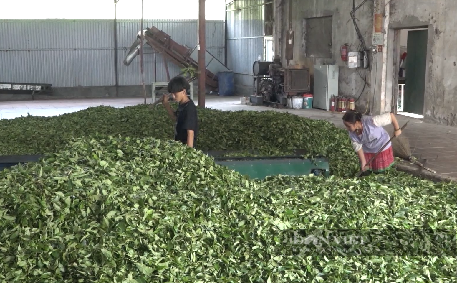 Nhờ cách làm này, nông dân huyện Tam Đường ở Lai Châu có thêm việc làm, thu nhập tăng - Ảnh 6.
