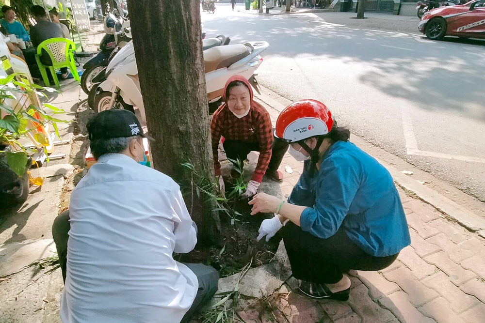 Người dân phường Phú Hòa trồng cây để phủ xanh đất trống quanh gốc cây dầu. Ảnh: NVCC