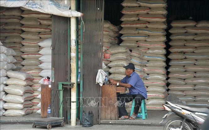 Động thái của các quốc gia châu Á nhằm ổn định thị trường gạo trong nước - Ảnh 2.