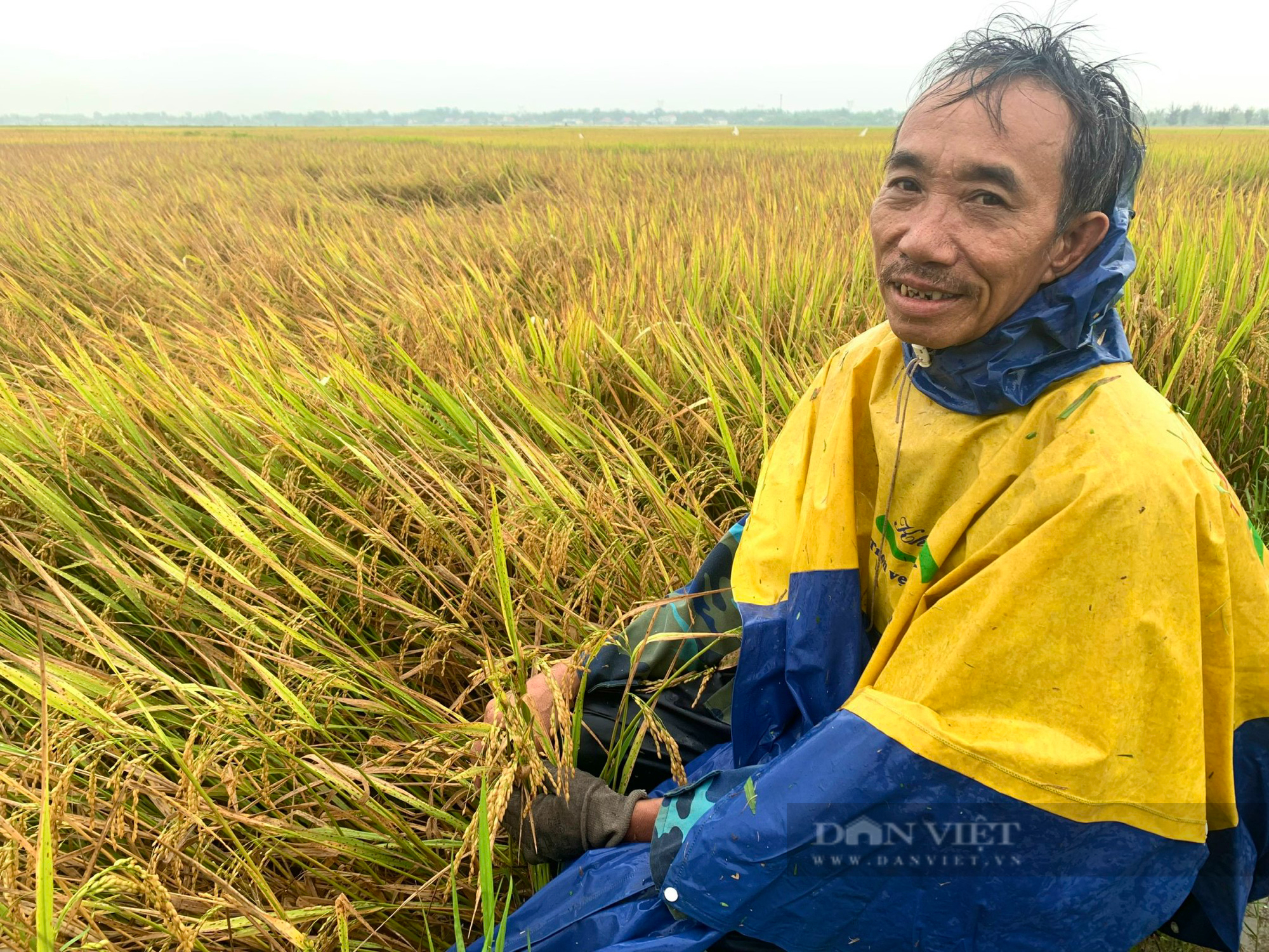 Bộ trưởng Lê Minh Hoan gợi mở hướng tăng thu nhập cho người trồng lúa - Ảnh 3.