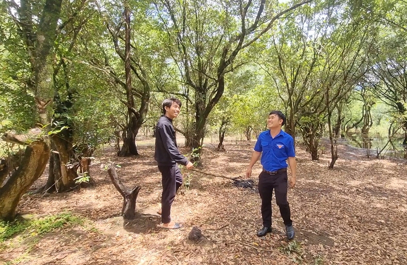 Đây là khu rừng đẹp như phim ở Gia Lai, có một thứ cây thấp lùn như cây cảnh bonsai lạ lắm - Ảnh 1.