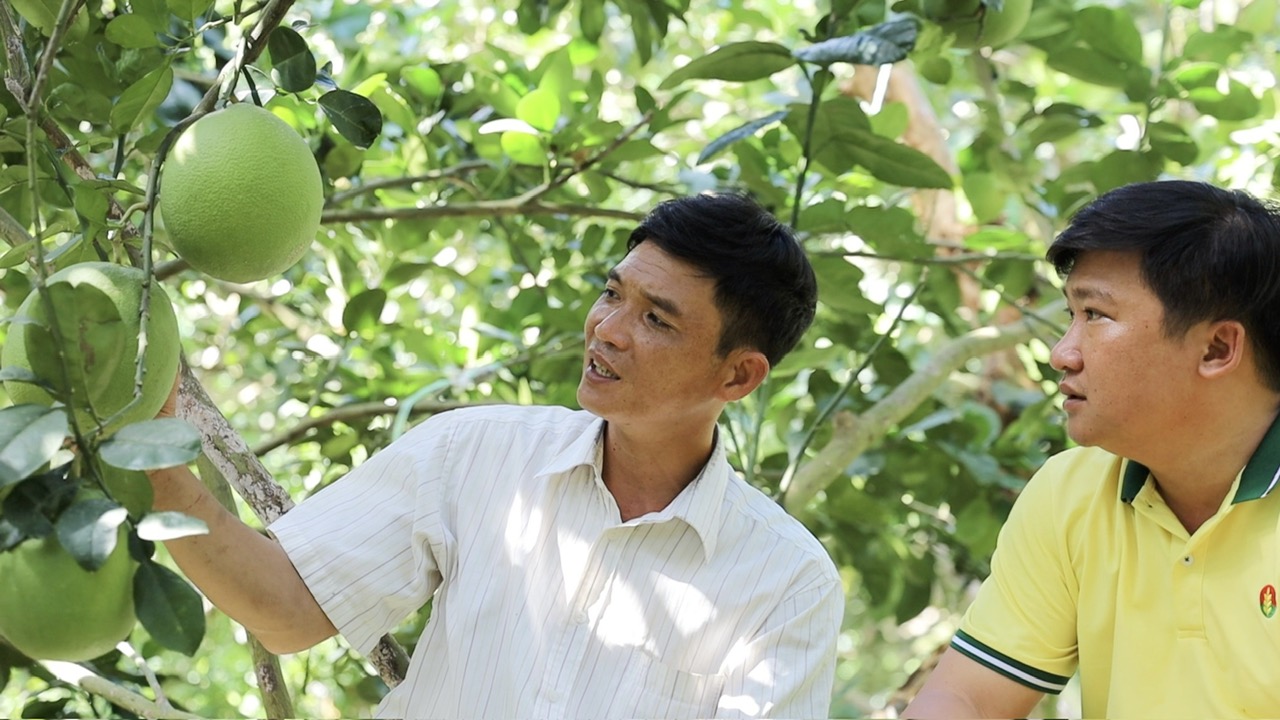 NPK Cà Mau: công nghệ polyphosphate chắp cánh nông sản Việt - Ảnh 6.