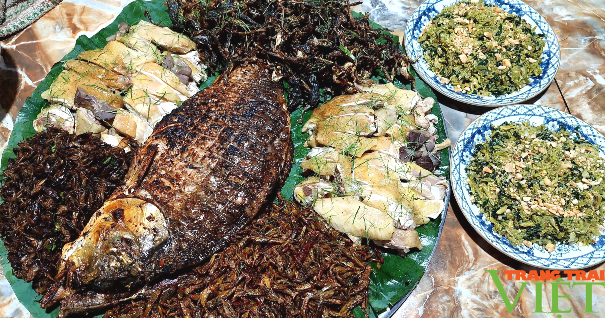 Du lịch nông nghiệp: Nông dân làm giàu từ dịch vụ câu cá kết hợp ẩm thực dân tộc (Bài 2) - Ảnh 6.