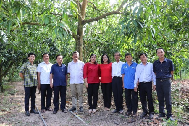 Nông nghiệp &quot;đa tầng&quot; của Hội quán ở Đồng Tháp, trên trồng xoài, dưới nuôi thỏ, thả ốc bươu, thu 500 triệu đồng mỗi năm - Ảnh 2.