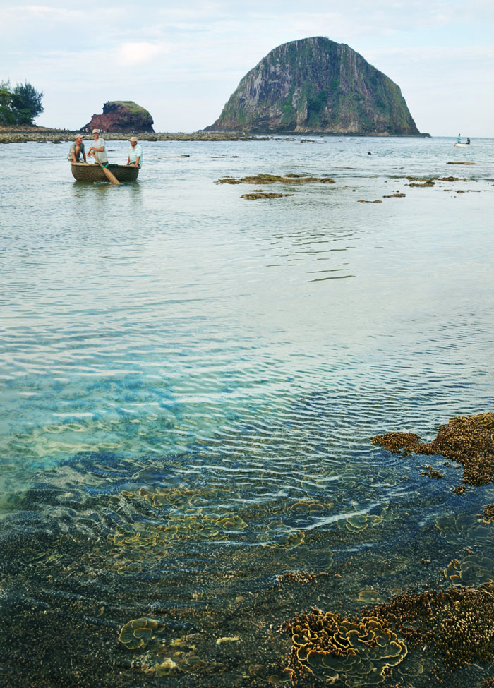 Một hòn đảo đẹp như mơ cách bờ biển Phú Yên hơn 20km, thấy ngàn hòn đá lạ, san hô muôn hình vạn trạng - Ảnh 7.