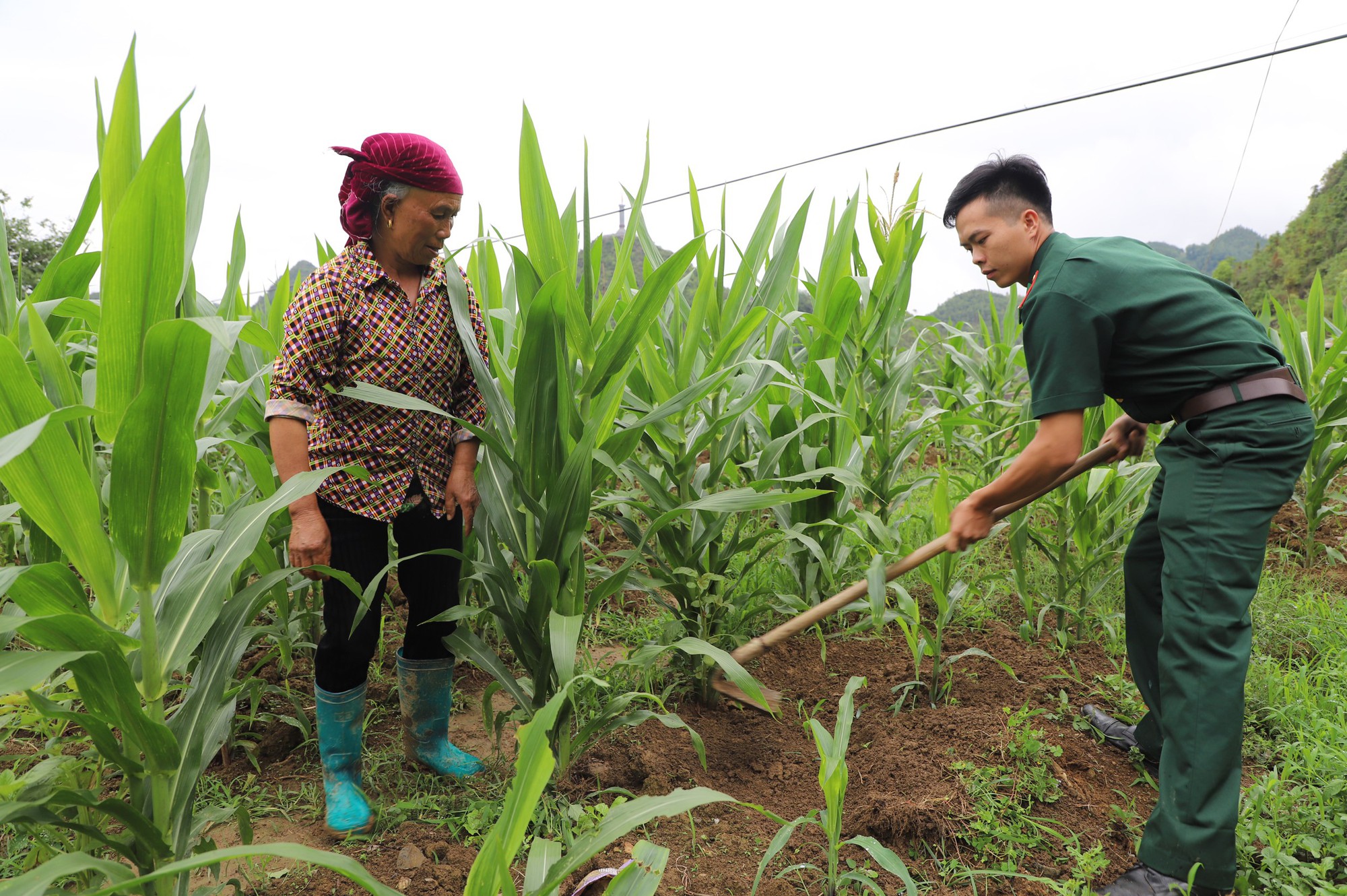 Bộ đội Biên phòng tỉnh Hà Giang thực hiện tốt công tác quản lý, bảo vệ chủ quyền, an ninh biên giới - Ảnh 2.