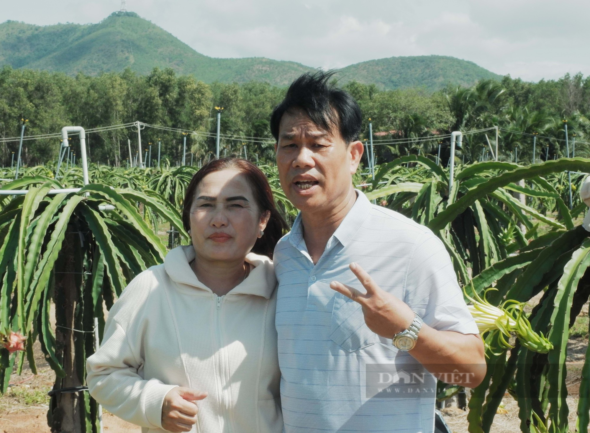 Từ nông dân trở thành ông chủ xuất khẩu thanh long ở Bình Thuận, được chọn là Nông dân Việt Nam xuất sắc 2023 - Ảnh 5.