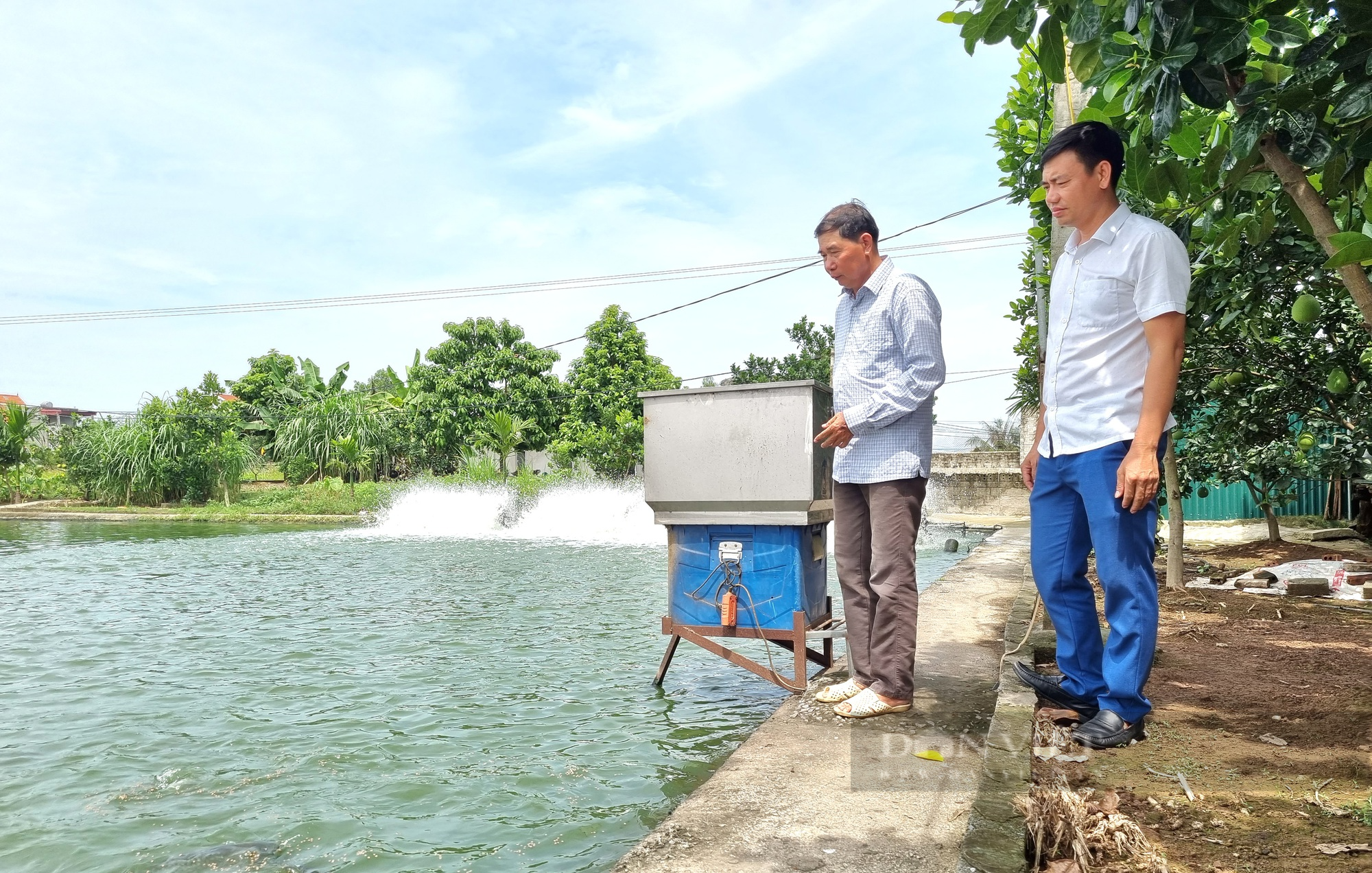 Chuyển đổi số trong nuôi cá nước ngọt, nông dân Việt Nam xuất sắc 2023 ở Ninh Bình có doanh thu gần 4 tỷ đồng - Ảnh 5.