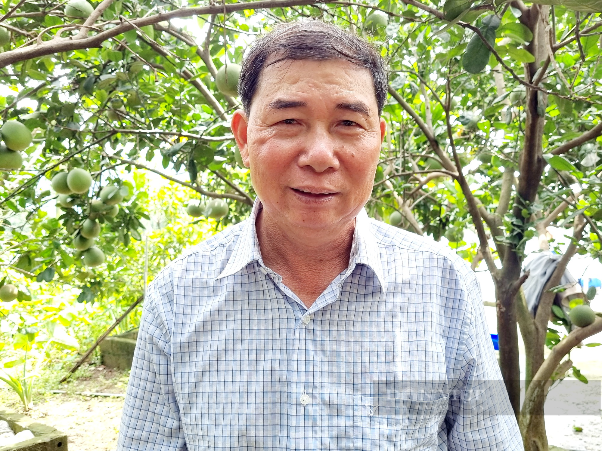 Chuyển đổi số trong nuôi cá nước ngọt, nông dân Việt Nam xuất sắc 2023 ở Ninh Bình có doanh thu gần 4 tỷ đồng - Ảnh 11.
