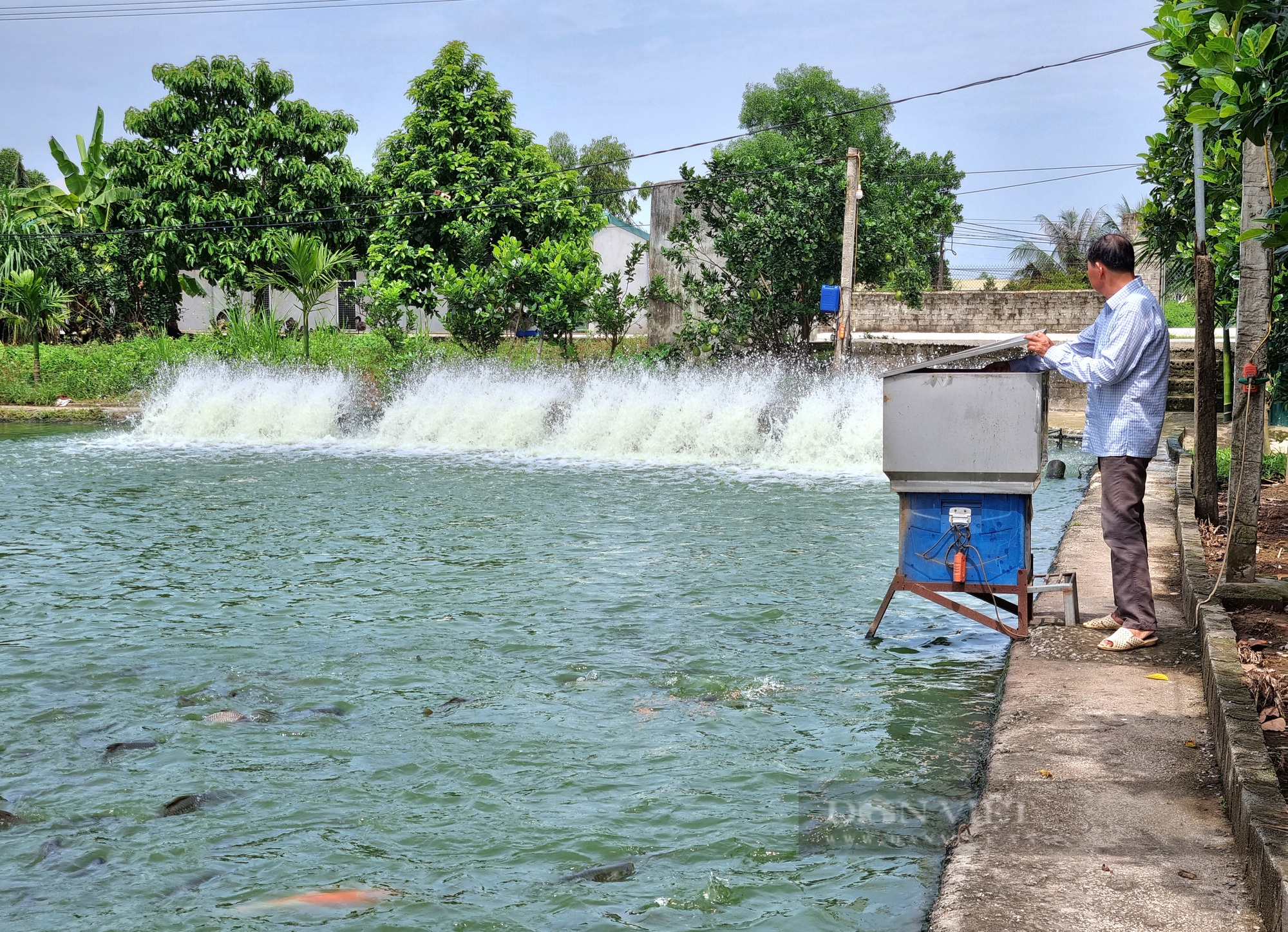 Chuyển đổi số trong nuôi cá nước ngọt, nông dân Việt Nam xuất sắc 2023 ở Ninh Bình có doanh thu gần 4 tỷ đồng - Ảnh 8.
