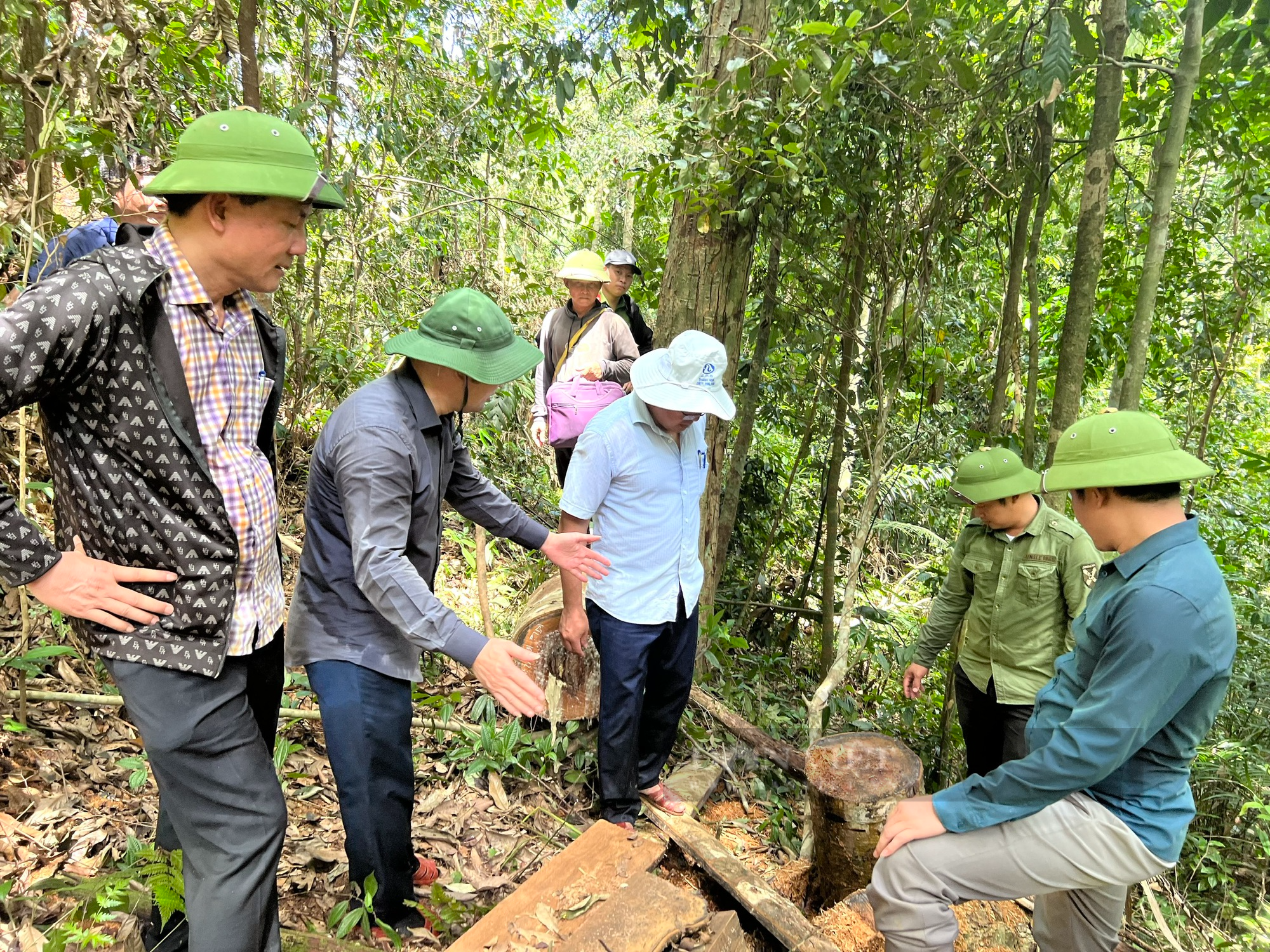Thanh Hoá xuất hiện tình trạng phá rừng, Phó Chủ tịch tỉnh này yêu cầu điều tra, làm rõ - Ảnh 2.