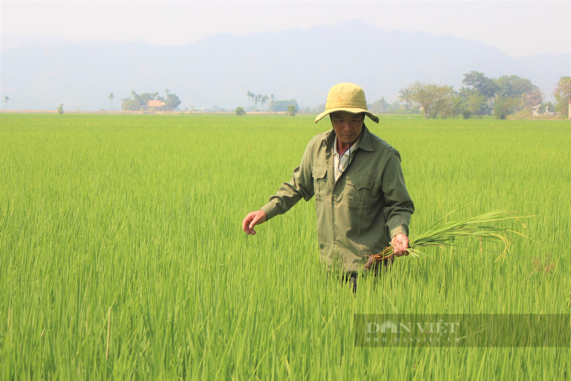 Đắk Lắk: Phát triển kinh tế nông nghiệp, nông thôn gắn với xây dựng nông thôn mới - Ảnh 1.