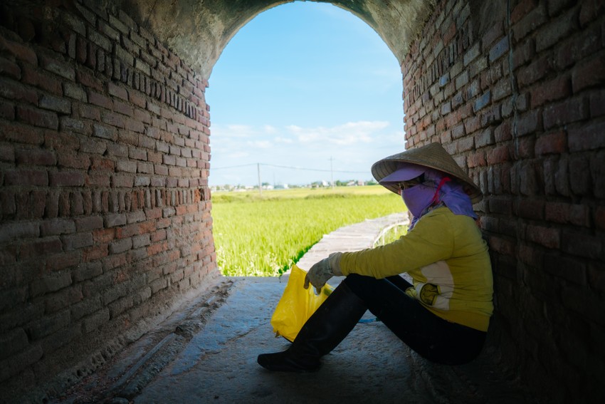 Cái lò gạch cũ bỏ hoang giữa cánh đồng vô cực ở Quảng Nam bất ngờ hot, người kéo đến chụp hình, quay phim - Ảnh 2.