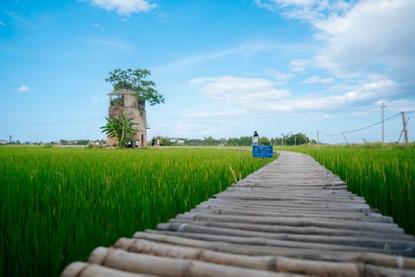 Cái lò gạch cũ bỏ hoang giữa cánh đồng vô cực ở Quảng Nam bất ngờ hot, người kéo đến chụp hình, quay phim - Ảnh 3.