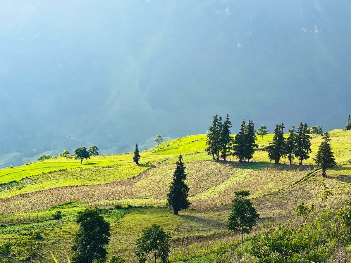 Top 7 trải nghiệm ở Hoàng Su Phì (Hà Giang) du khách nên thử - Ảnh 2.